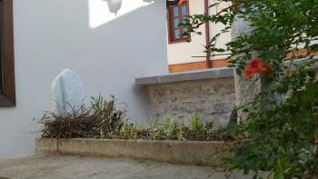 Ahteri Hazretleri’Nin Kabri Temizlendi
