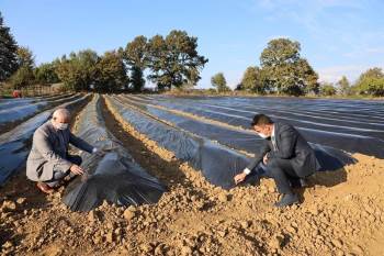 Ahududu Ve Böğürtlen Yetiştiriciliği Merkezi Olacak
