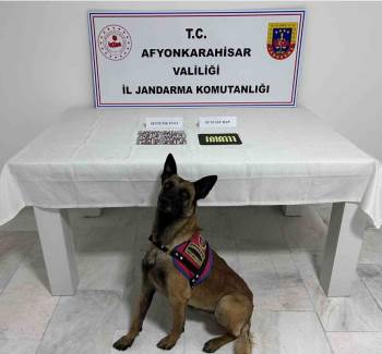 Aile Boyu Uyuşturucu Taciri Çıktılar
