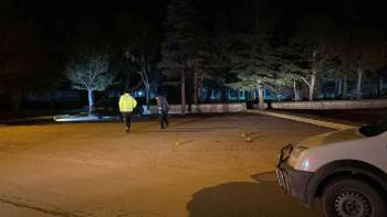 Aile Üyeleri Arasında Çıkan Kavgada Yanlışlıkla Akrabalarını Vurdu
