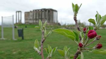 Aizanoi Antik Kenti’Nde İlkbahar Güzelliği
