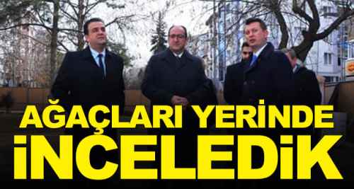 AK Parti Hamamyolu'ndaki ağaçlara gitti