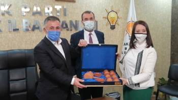 Ak Parti Pazaryeri İlçe Teşkilatı’Ndan İl Başkanı Yıldırım’A Ziyaret
