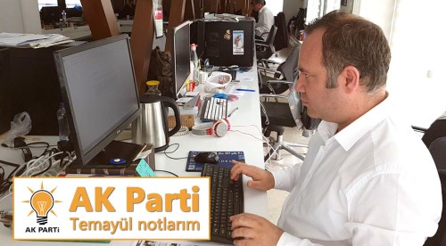AK Parti Temayül notlarım