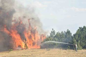 Akharım Yangını Kontrol Altına Alındı
