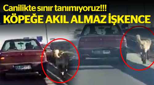 Akıl almaz bir işkence yöntemi!