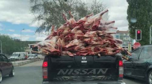 Akıl almaz görüntü: Yüzlerce kilo eti...