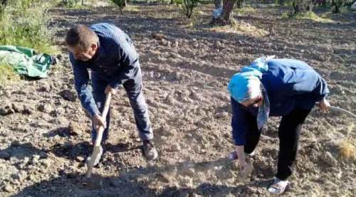 Akıl almaz kapora vurgunu! Arsa alacaklar dikkat...