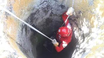 Akut Kuyuya Düşen Tilki İçin Seferber Oldu
