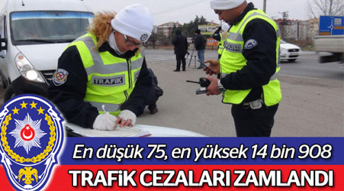 Alkollü kullanan yandı... Cezası 876 lira!