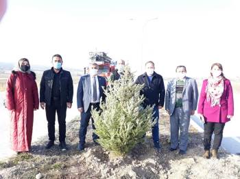 Alltıntaş’Ta Yatırımlar İncelendi, Fidan Dikimi Yapıldı
