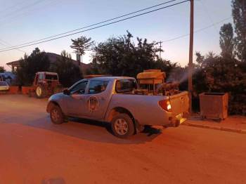 Altıntaş Belediyesi Sinek, Sivrisinek Ve Haşerelere Karşı İlaçlama Çalışması Başlattı
