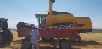 Altıntaş Ovasında Hasat Dönemi Sona Erdi
