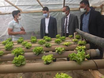 Altıntaş’ta ’’Topraksız Sera’’