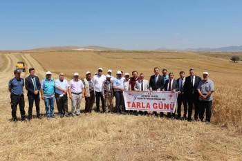 Altıntaş’Ta "Reyis Ve Mesut" İsimli Yeni Buğday Çeşitleri Tanıtıldı
