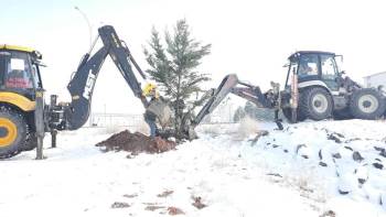 Altıntaş’Ta Ağaçlandırma Çalışmaları Aralıksız Devam Ediyor
