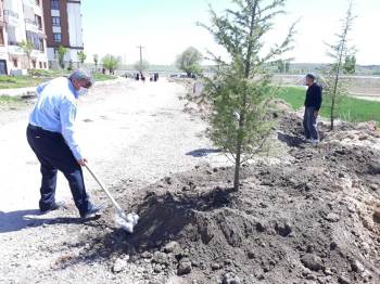 Altıntaş’Ta Ağaçlandırma Çalışmaları
