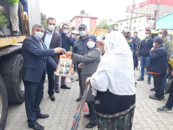 Altıntaş’Ta Fidan Dağıtımı
