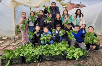 Altıntaş’Ta Ispanak Hasadı Şenliği
