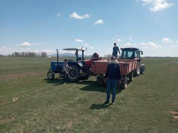 Altıntaş’Ta Köylerde Mera Gübreleme Çalışmaları
