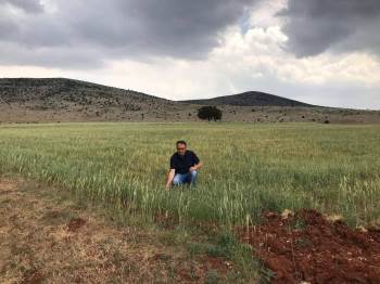 Altıntaş’Ta Yem Bitkisi Ekili Alanlarda Kontroller Yapılıyor
