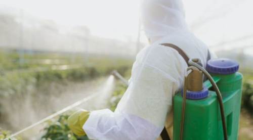 Alüminyum Fosfit Nedir? Zehirler Mi?