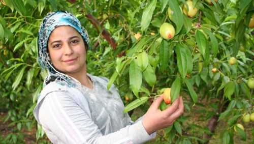 AMACI EK GELİRDİ ŞİMDİ PARA BASIYOR