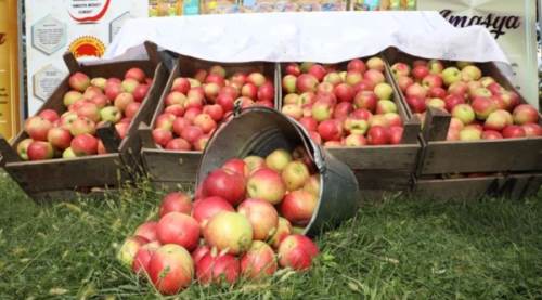 Amasya Nasıl Bir Şehir, Pahalı Mıdır? Amasya'nın Neleri Meşhurdur ve En Güzel İlçeleri Nelerdir?