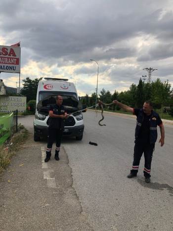 Ambulanstan Çıkanı Görenler Gözlerine İnanamadı
