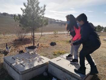 Anadolu Lisesi’Nde “Sokak Hayvanlarını Besliyorum” Projesi
