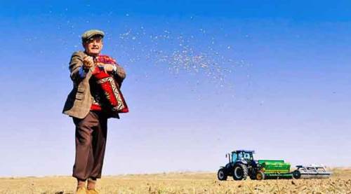 Anadolu'nun kadim mirası yine Eskişehir'den yeşeriyor