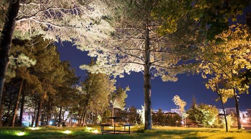 Anadolu Üniversitesi yeni sosyal donatı alanları kazanıyor