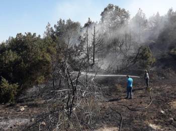 Anız Yangını Ormana Sıçradı, Erken Müdahale Faciayı Önledi
