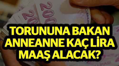 Anneanne kaç lira maaş alacak?