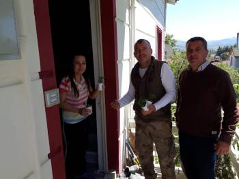 Annelere Çiçek Yerine Sebze Fidesi
