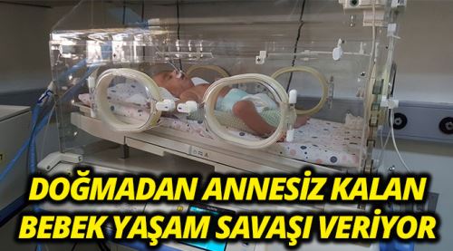 Annesi öldürülen bebek yaşam savaşı veriyor