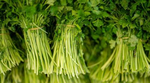 Apigenin Nedir, Ne İşe Yarar? Saç Üzerindeki Etkileri ve Nerelerde Bulunur?