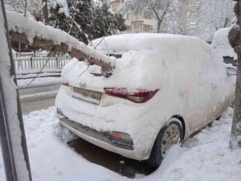 Araçlar Devrilen Ağaçların Altında Kaldı

