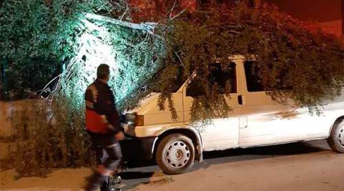 Araçlar fırtınanın devirdiği ağaçların altında kaldı