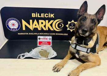 Araçlarında Uyuşturucu Madde Çıkan 2 Şahıs Gözaltına Alındı
