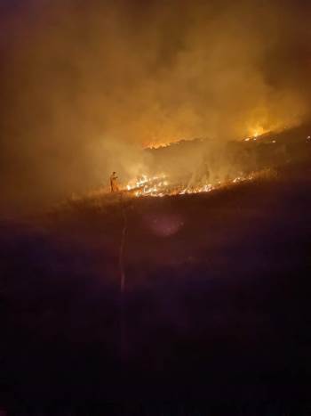 Arazi Yangını Zamanında Müdahaleyle Ormanlık Alan Sıçramadan Söndürüldü
