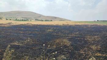 Arazi Yangınında 3 Dönüm Ekili Alan Zarar Gördü
