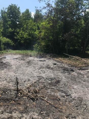 Arazisinde Anız Veya Benzeri Bitki Örtüsü Yakan Yandı
