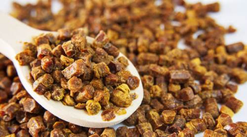 Arı Ekmeği (Perga) Nedir? Mucizevi Arı Ekmeğinin Kullanım Alanları ve Faydaları