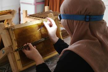 Arı Sütüne Aile Eli Değdi
