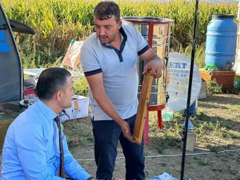 Arı Ve Bal Üretimi Noktasında Emirdağ Merkez Haline Geldi
