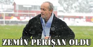 Arı: Zemin perişan oldu