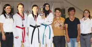 Arılar'dan büyük başarı