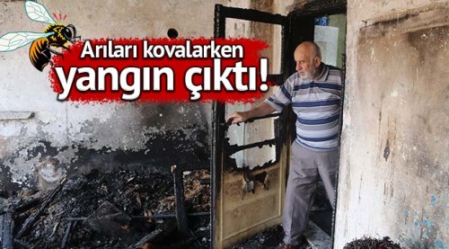 Arıları kovalarken evi yaktı!
