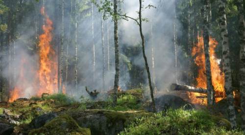 Arjen İsminin Anlamı Nedir? Kökeni ve Taşıdığı Anlamlar